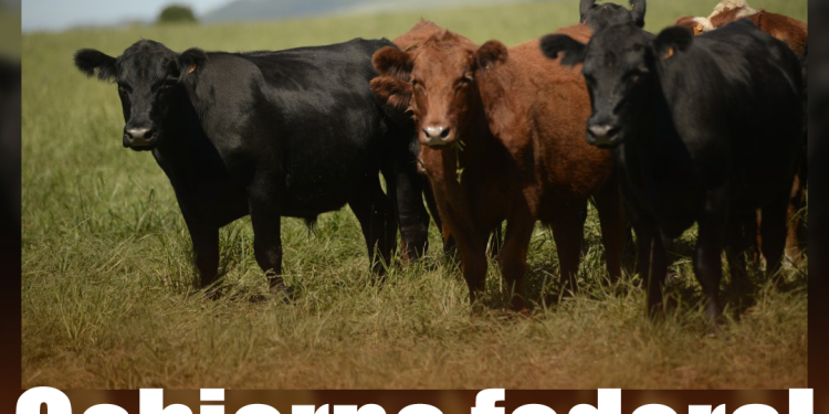 EE.UU. se deslinda del “Cártel de los Soles” y se debilita una de las principales acusaciones contra Nicolás