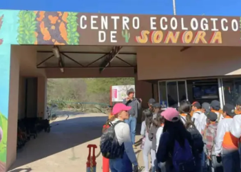 La Suprema Corte aprueba la ley de multas contra bancos que hostiguen a deudores