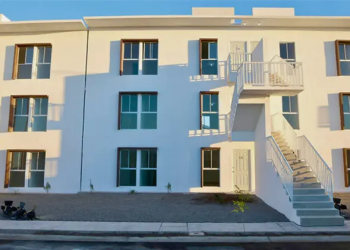 Germán Valenzuela alerta sobre posible caída en la producción de trigo en México