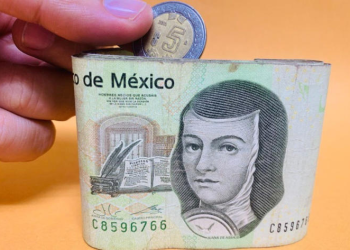 Germán Valenzuela alerta sobre posible caída en la producción de trigo en México