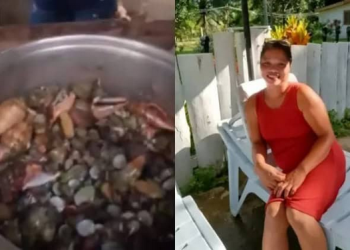 Germán Valenzuela alerta sobre posible caída en la producción de trigo en México