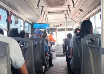 SHEINBAUM VA CONTRA EL FEMINICIDIO EN MÉXICO