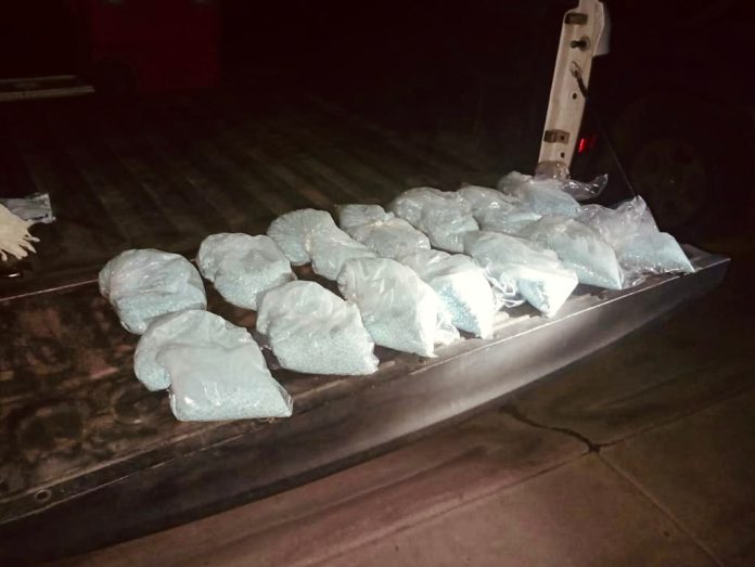 WhatsApp Image 2023-01-12 at 12.31.54 PM