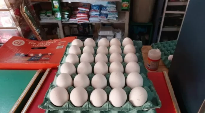 Hasta mil 57 pesos cuesta la canasta básica en Sonora
