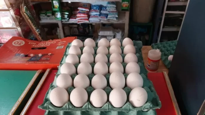 2891531_1.jpg_851672003