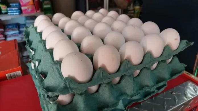 2891532_1.jpg_851672003