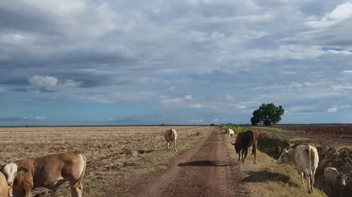 2893094_1.jpg_851672003