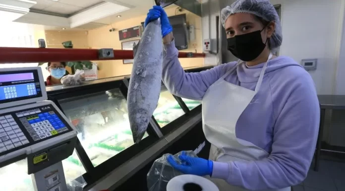 Inflación: En Sonora aumentan hasta 100% pescados y mariscos