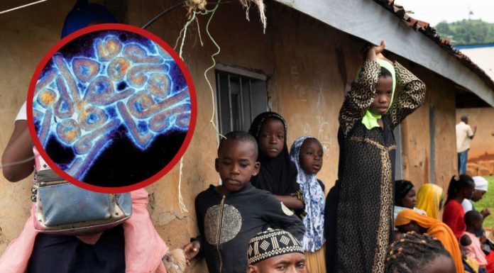 Guinea Ecuatorial declara alerta sanitaria por virus de Marburgo; OMS se reúne de emergencia