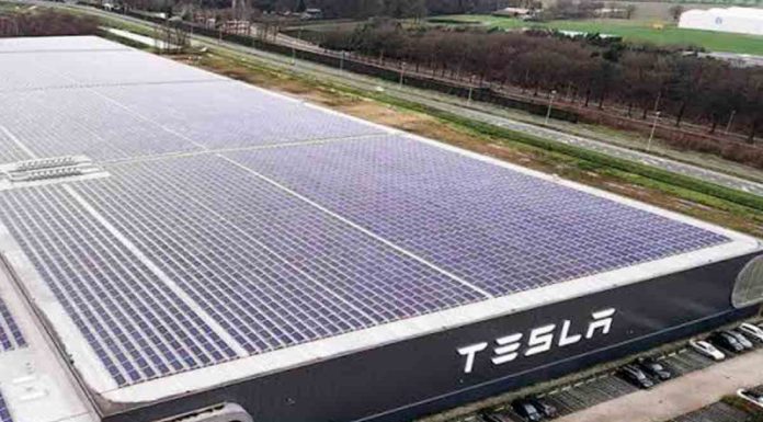Samuel García confirma instalación de Tesla en NL