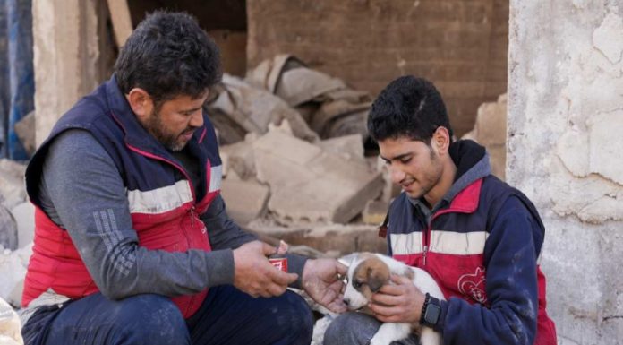 El Banco Mundial estima en 34 mil millones de dólares los daños del terremoto en Turquía