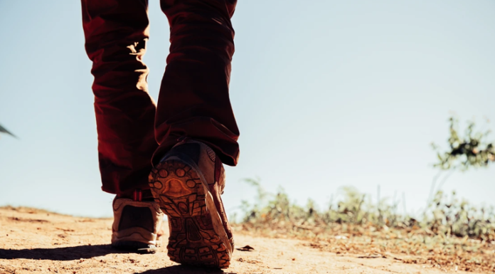 Flujo migratorio en Sonora: Ingresan entre 250 a 300 migrantes al día