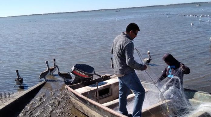 Migran pescadores a otros puertos pesqueros