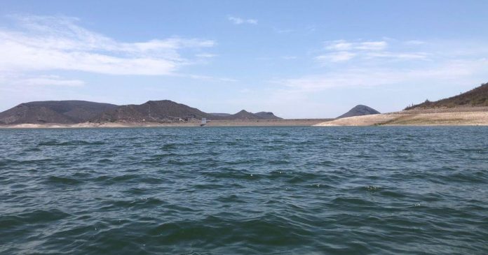 presas-del-rio-yaqui-registran-captaciones-historicas-a5175a5b-focus-0-0-1300-866