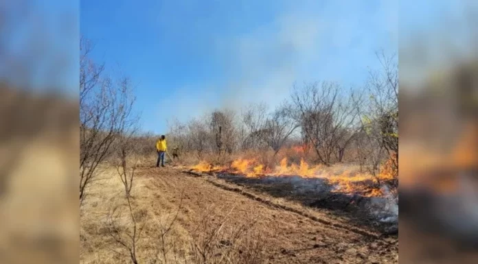 Incendio forestal en Álamos consume 50 hectáreas