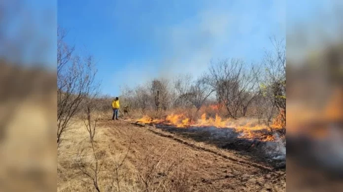 proyecto_nuevo_x47x.jpg_851672003