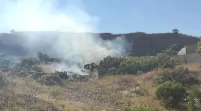 Incendio forestal consume terrenos entre Hornos y Tesopaco