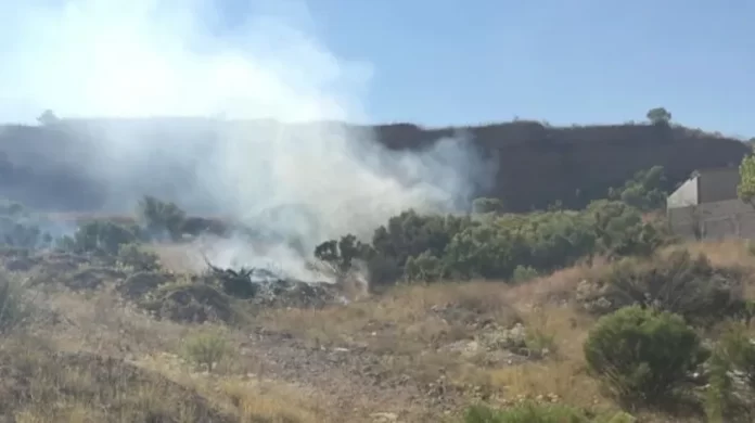 2660007_1.jpg_851672003