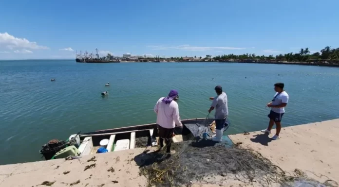 Pescadores del Sur de Sonora empeñan equipo ante la crisis