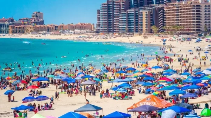 2900267_1.jpg_851672003