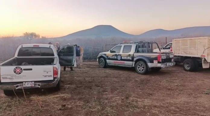 Van 15 incendios forestales en Sonora