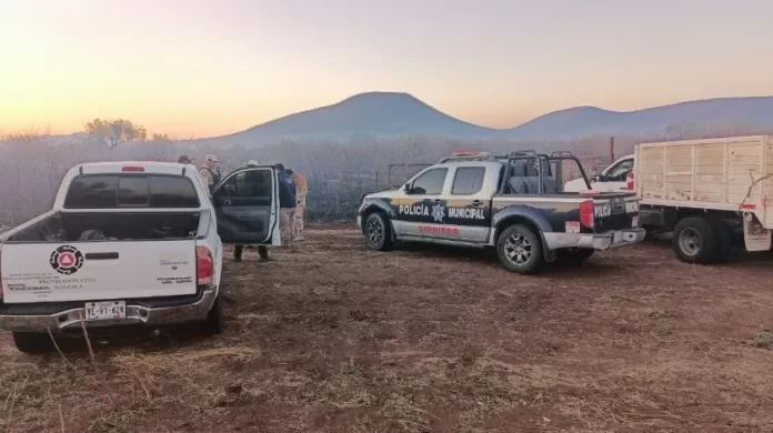 2901025.jpg_851672003