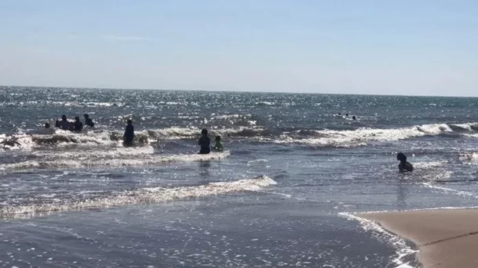 2901921_1.jpg_851672003