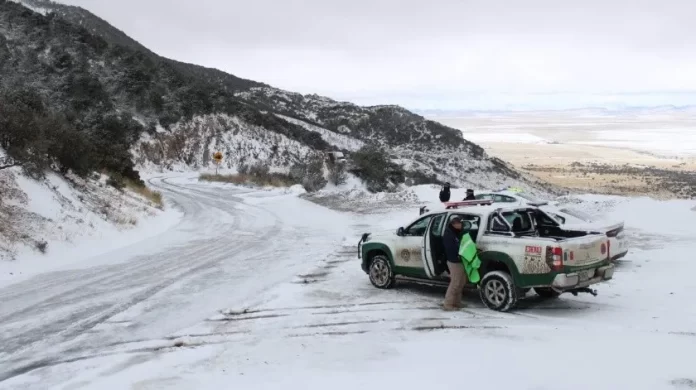 334795602_6125054800885684_8020433827450839595_n.jpg_464482989