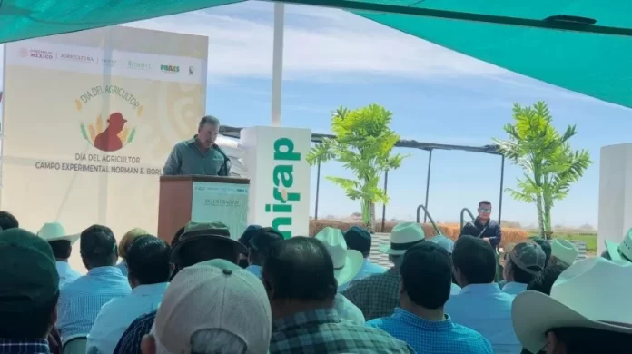 336676222_1295886360993954_4743211157362577545_n_1.jpg_851672003