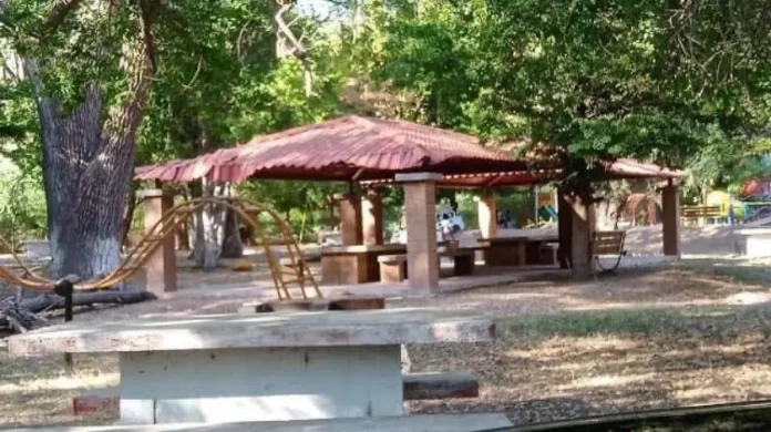 337857241_1210801016299741_716867576104023519_n_1.jpg_851672003