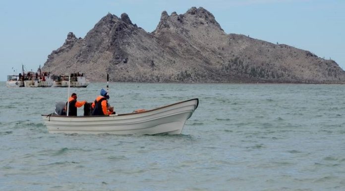 Autoridades federales reconocen aportación de Sonora a la pesca en México