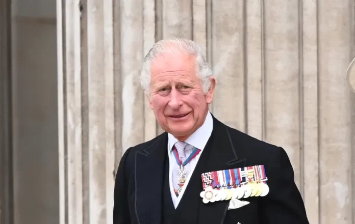 asi-sera-la-nueva-corona