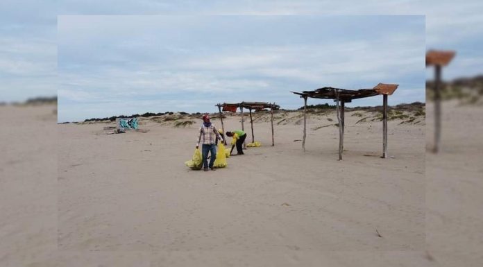 Investigarán procedencia de desechos clínicos en Huatabampito