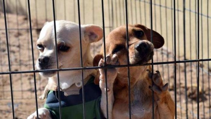 f960x540-318610_392685_0