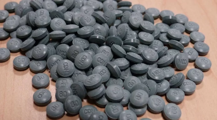 México y EE.UU. fortalecerán cooperación bilateral en foro sobre fentanilo