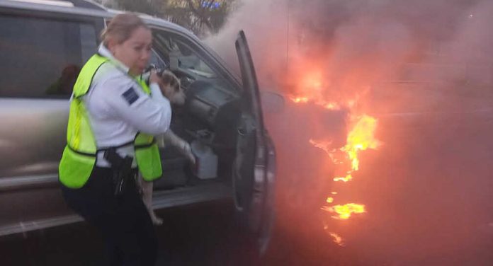 rescatan-a-perro-en-hillo_optimized