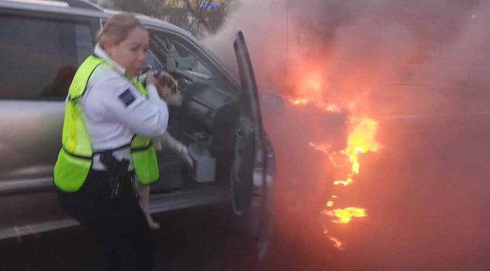 Rescata Transito a perro en incendio de automóvil al norte de Hermosillo