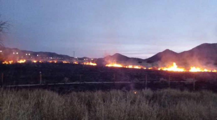 Cerro del Bachoco se vuelve a incendiar esta mañana