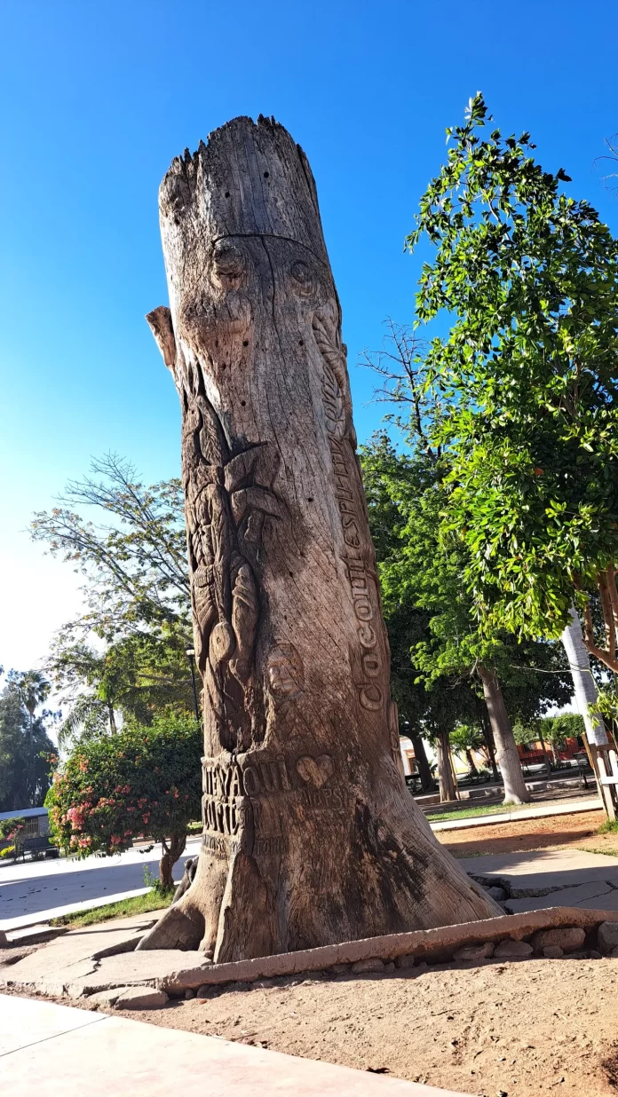 20230427_164846-scaled