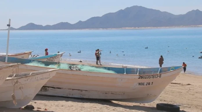 Cierran Puerto de Bahía de Kino por oleaje alto y fuertes vientos