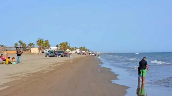 2775601_1.jpg_851672003