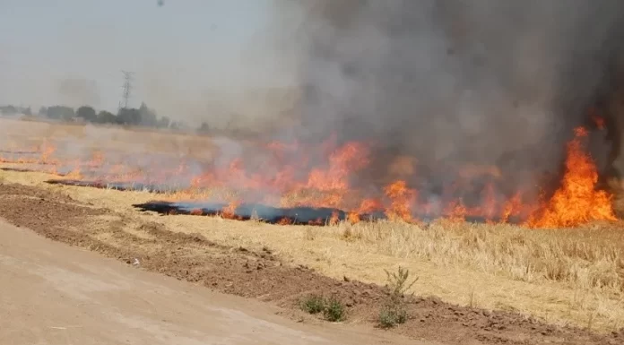Van 12 quemas de gavilla en el Valle del Yaqui: Bomberos