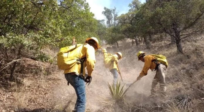 Sonora: Incendio en Ímuris daña más de 13 mil hectáreas