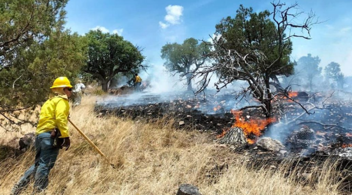 Con 85 incendios forestales esta temporada, Sonora queda a dos del récord que data del 2000, informa Protección Civil