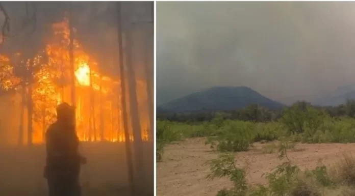 Monitorea Protección Civil Sonora incendio en la Sierra de Chihuahua