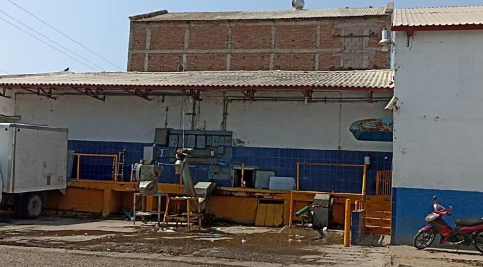 Escasea el hielo y la ola de calor sigue