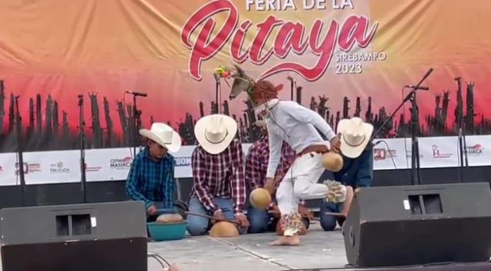 En Huatabampo, Sonora se realiza con éxito la Feria de la Pithaya