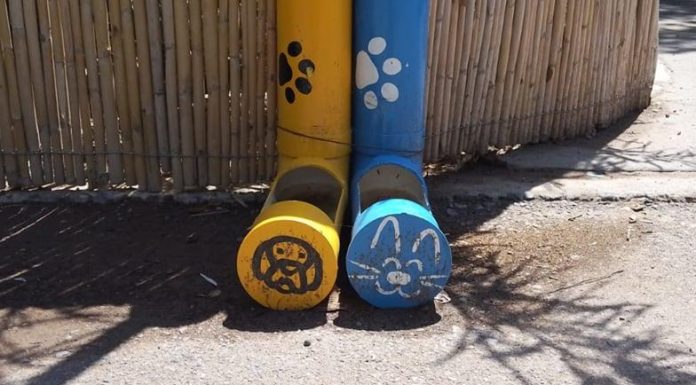 EN CAJEME INSTALAN DISPENSADORES DE ALIMENTOS PARA MASCOTAS EN LA LAGUNA DEL NÁINARI