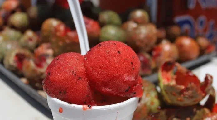 Sonora: Hoy inicia el festival de la pitaya en Ures