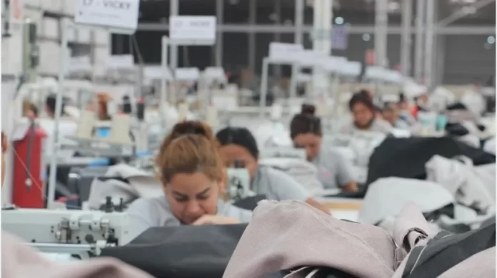 2921080_crop1688391292365.jpg_1935743484